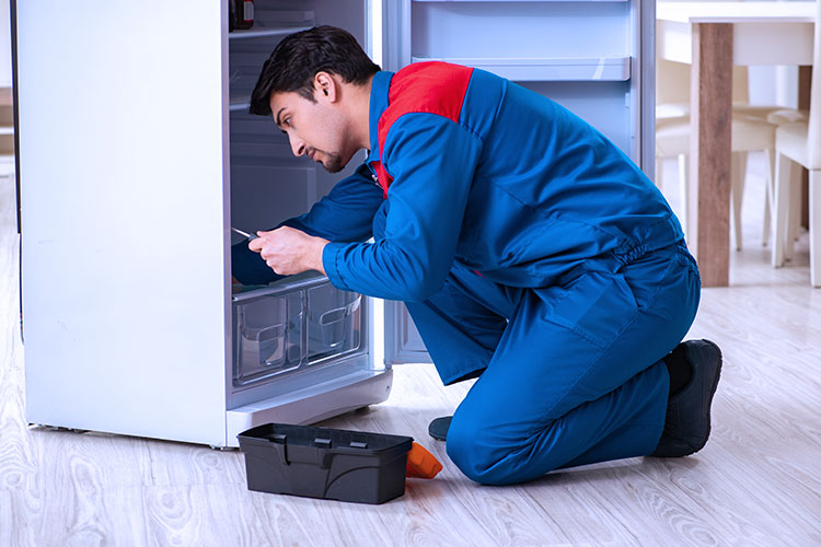 Fridge Repair Service